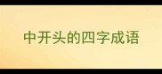 中开头的四字成语