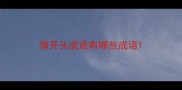 情开头成语有哪些成语