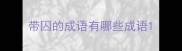 带囚的成语有哪些成语