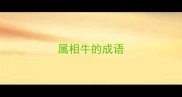 属相牛的成语