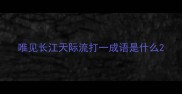 唯见长江天际流打一成语是什么