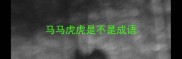 马马虎虎是不是成语
