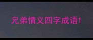 兄弟情义四字成语