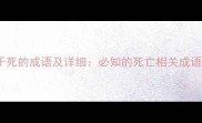 100个关于死的成语及详细必知的死亡相关成语使用指南