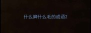 什么脚什么毛的成语