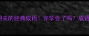 10个与海栗相关的经典成语你学会了吗成语大全考试必备