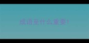 成语至什么重要