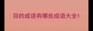 目的成语有哪些成语大全