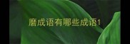 磨成语有哪些成语