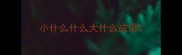 小什么什么大什么成语