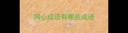 网心成语有哪些成语
