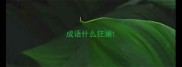 成语什么狂澜
