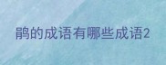 鹃的成语有哪些成语