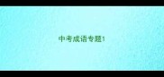 中考成语专题