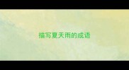 描写夏天雨的成语