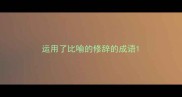 运用了比喻的修辞的成语