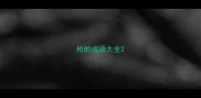 枪的成语大全