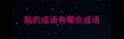 脑的成语有哪些成语