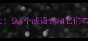 蝶蜂成语大这5个成语竟和它们有关