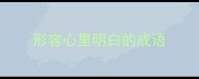 形容心里明白的成语