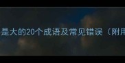 最后一个字是大的20个成语及常见错误附用法指南