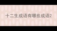 十二生成语有哪些成语
