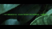 100个鼓励成语大全适合孩子职场学习的正能量表达收藏备用