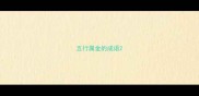五行属金的成语