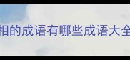 相的成语有哪些成语大全