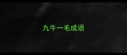 九牛一毛成语