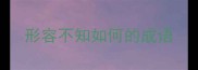形容不知如何的成语