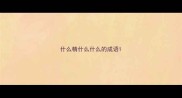什么精什么什么的成语