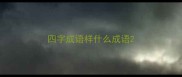 四字成语样什么成语