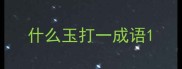 什么玉打一成语