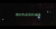 襟肘的成语的成语
