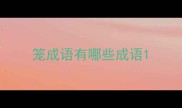 笼成语有哪些成语