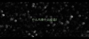 什么鸟兽什么成语