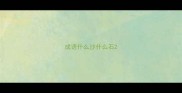 成语什么沙什么石