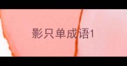 影只单成语