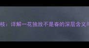 成语一花几枝详解一花独放不是春的深层含义与实用场景