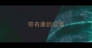 带有康的成语