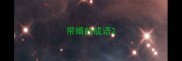 带婿的成语