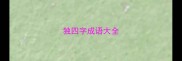 独四字成语大全