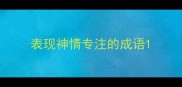 表现神情专注的成语