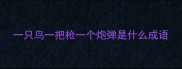 一只鸟一把枪一个炮弹是什么成语