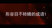 形容目不转睛的成语