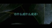 功什么成什么成语