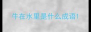 牛在水里是什么成语