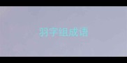 羽字组成语