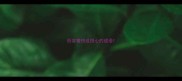形容害怕或担心的成语
